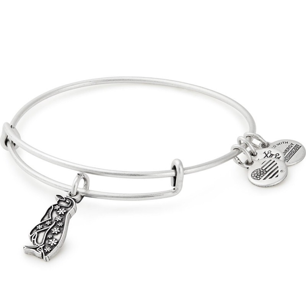 New Alex and Ani bracelet